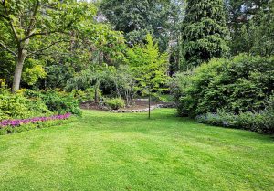 Optimiser l'expérience du jardin à Lachamp-Raphael